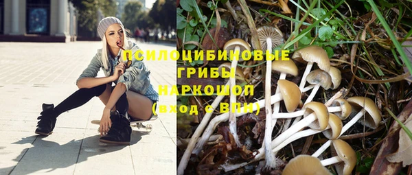 каннабис Володарск