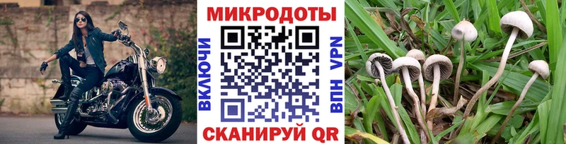 Псилоцибиновые грибы мухоморы  блэк спрут маркетплейс  Тула 