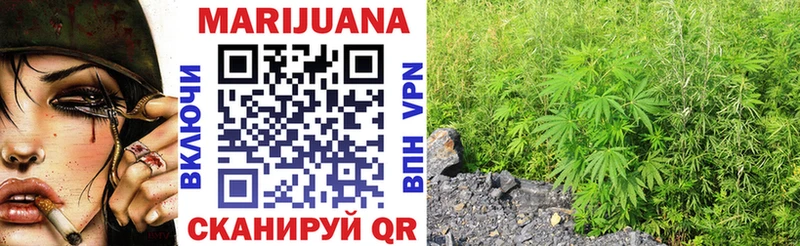 Конопля OG Kush Тула